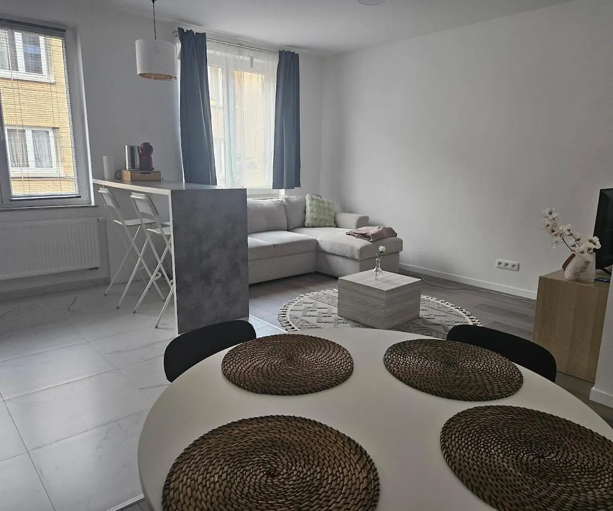 Brussels Apartment With Terrace 2