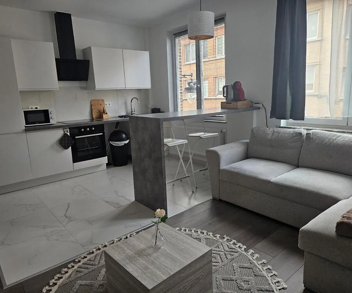Brussels Apartment With Terrace 2
