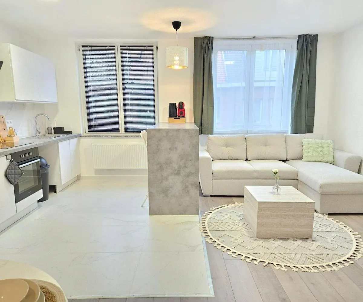 Brussels Apartment With Terrace 2 0*,
